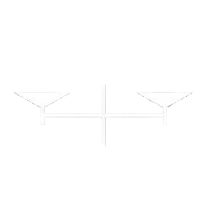 Logo Skepsis Branca Transparente
